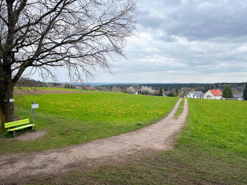 23-04-30 13-46-53 5244